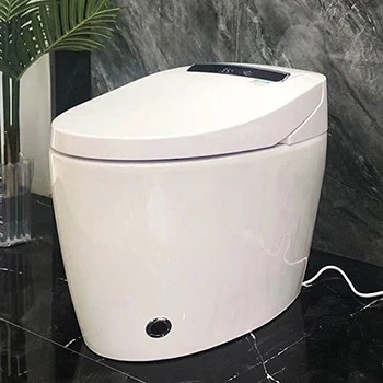 floor toilet floor toilet