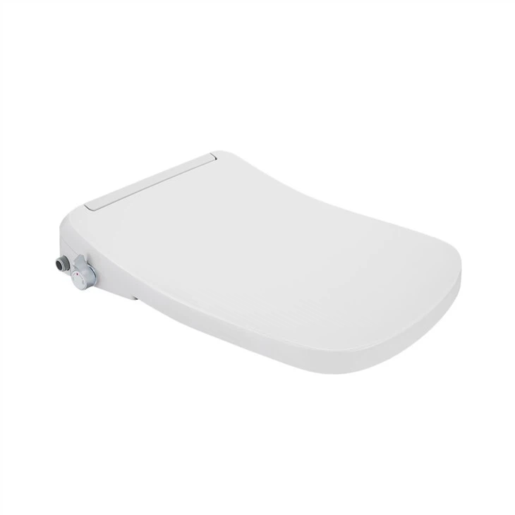 intelligent flushing toilet seat