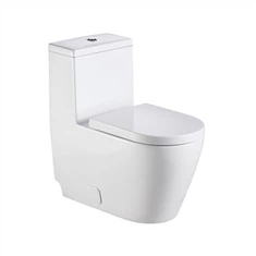 फर्श 1 पीस टॉयलेट माउंटेड